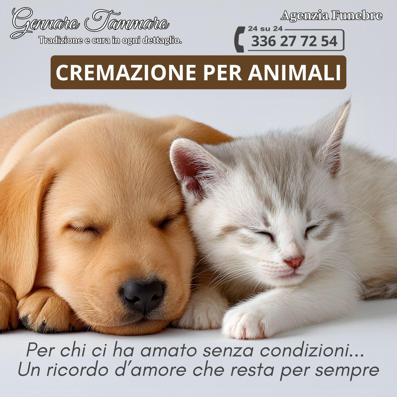 Cremazione per animali domestici a Napoli - Gennaro Tammaro